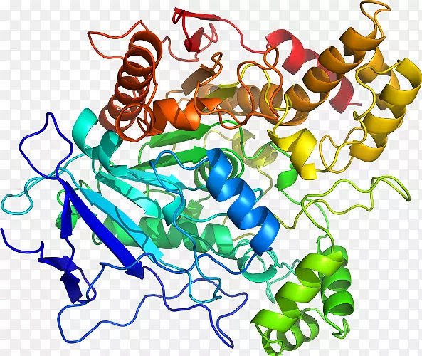 �ߵ������������-������