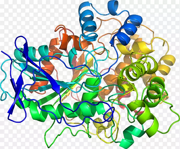 ���������鱦�л����߼�������-������