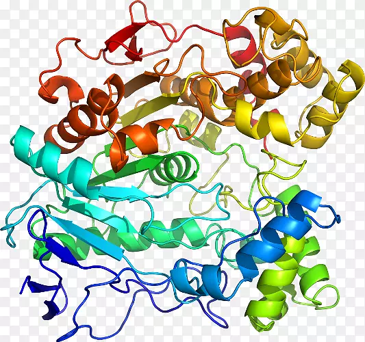 ���������л����߼�������-������