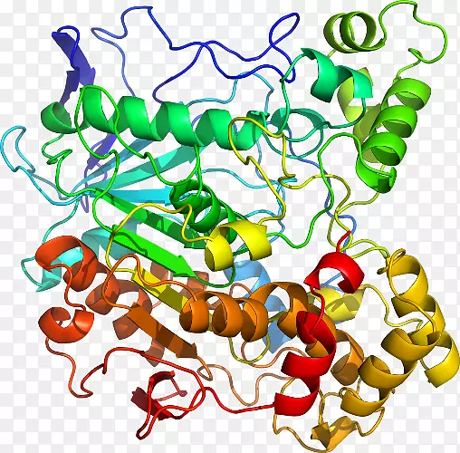 ���߶��������-��-������