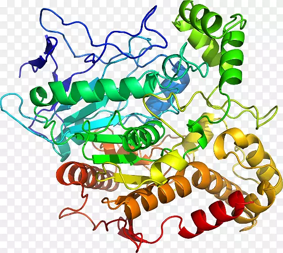 �����߶��������-����-������