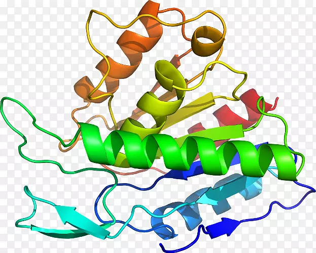 �߲��л���ϵ�м�����-�߲�-������