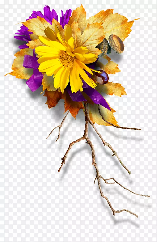 ���ܻ������-�޻��ڻ���ֲ����ͼ-������