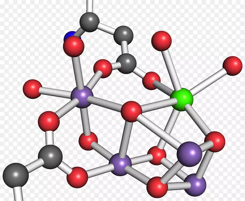 �߻�ѧ���������-������