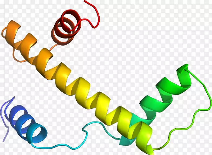 �ߵ������������-������