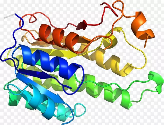 �����鱦������.���-������