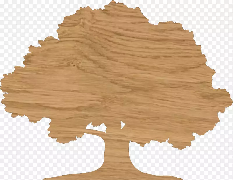 Ӣ����ľ�ذ�-������