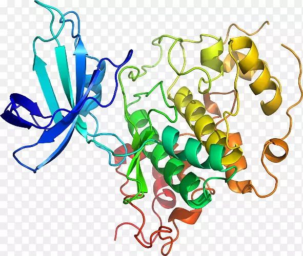 ���洫���߼�����-����-������