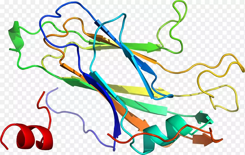 �ߵ������������-������