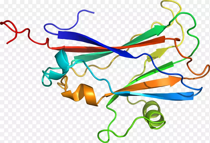 �ߵ������������-������