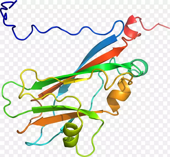 ֱ�ߵ����ﶯ���������-������