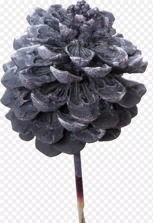 ����-������