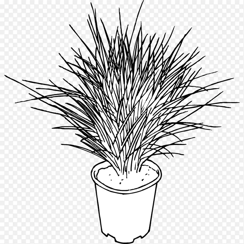 ������������-������