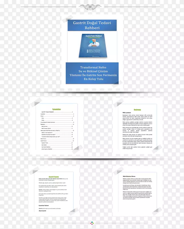 Ʒ�Ʊ�־-���-������