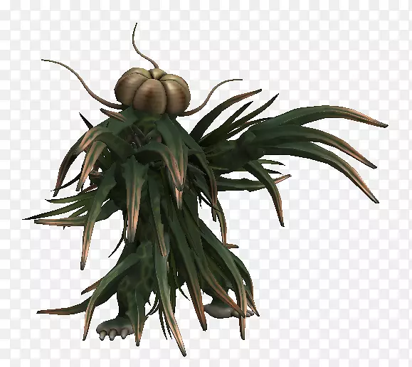 ��-��-������