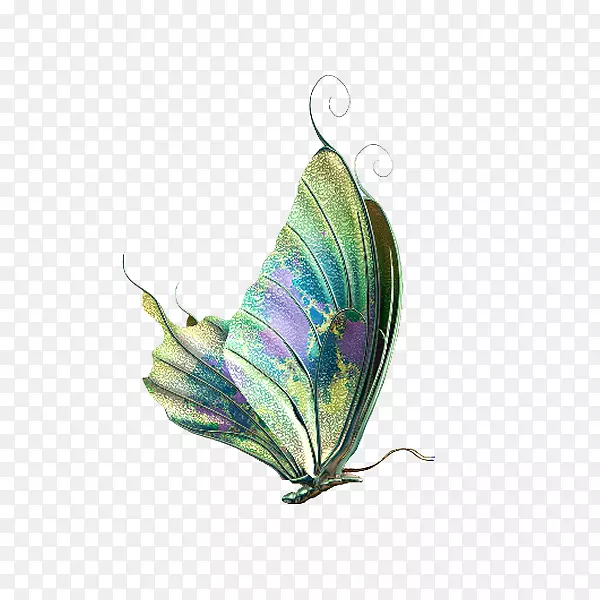 �������������ֽ������-����-������