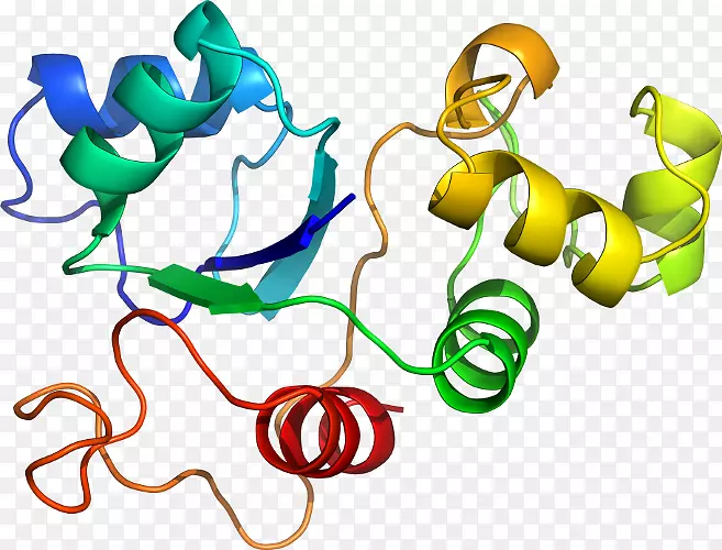 �����鱦������.���-������