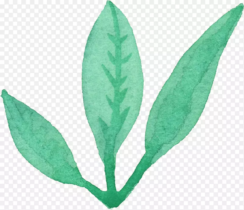 Ҷˮ�ʻ�-Ҷ-������