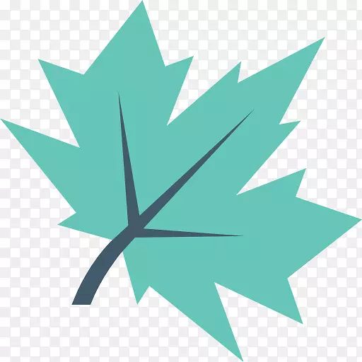 ���߿���ֲ�������-������