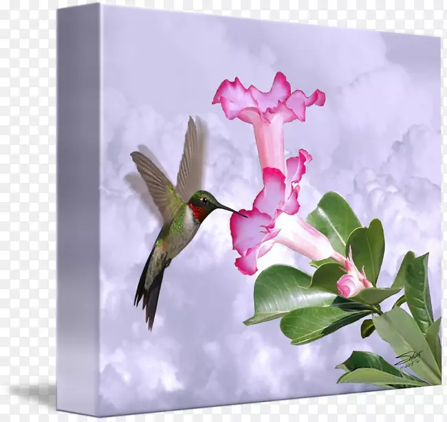 ����Ⱥ����m�ˮɫ����-������