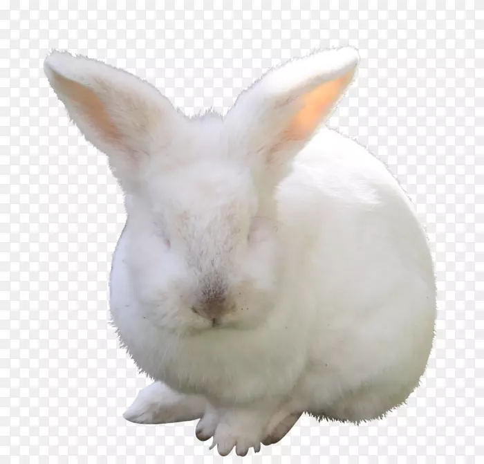 ����Ұ�ö������-����-������