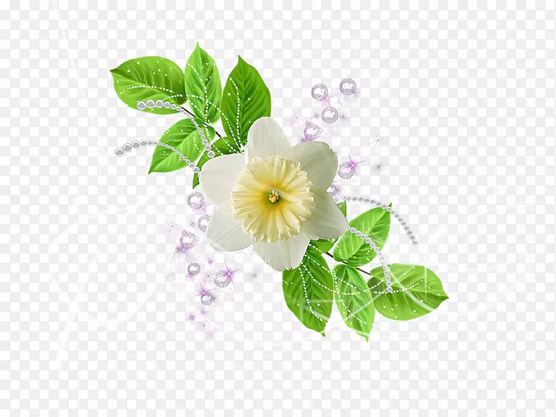 ����ֲ�����̻�-������