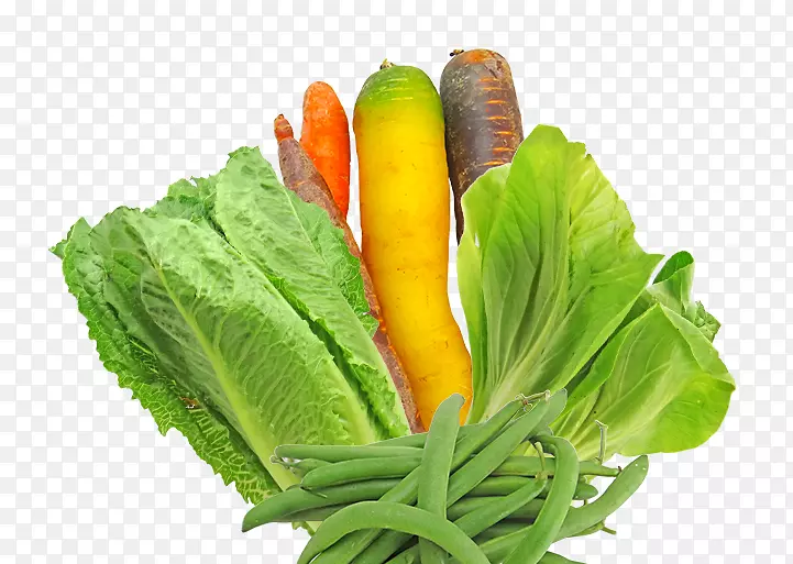 ���嵺����԰�߲�����-������