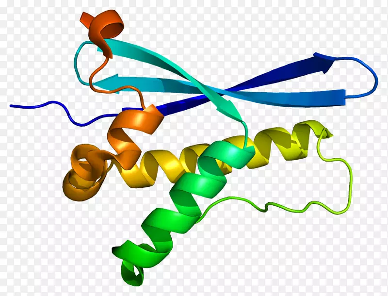 ���������л����߼�������-������