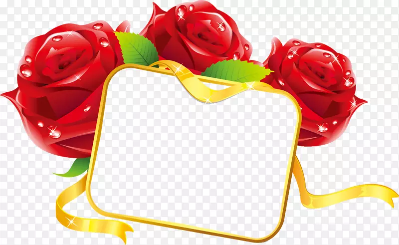 ����ף���ؿ������-����-������