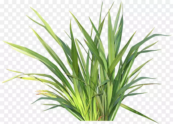 �ݱ�ֲ��滭��ͯ�廨����-������