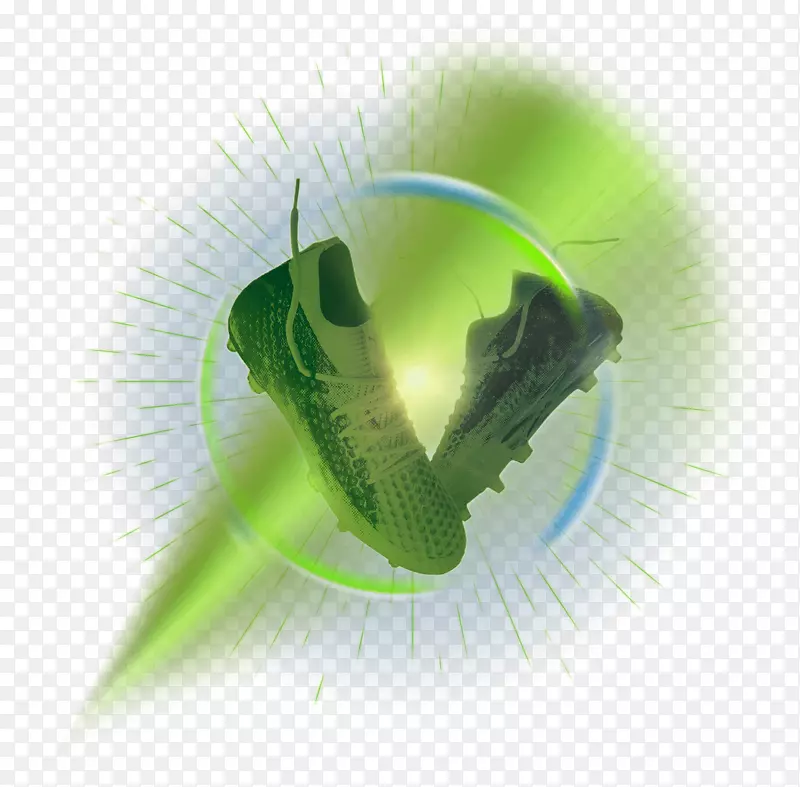 �������ֲ�ﾥ����-������