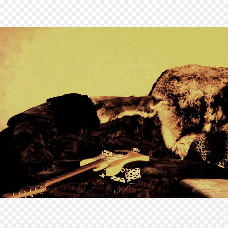 ��Ӱ-������˹��-������