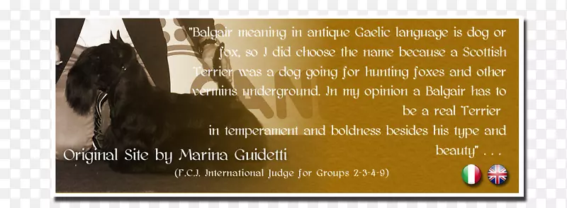 Ȯ�ֹ�����Ʒ��-�ո�����Ȯ-������