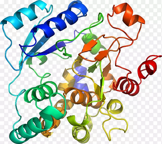 �����߶����������-������