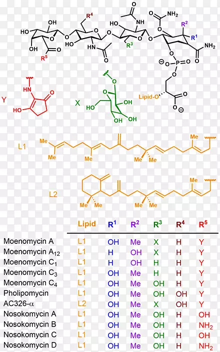 �ߵ��������-������