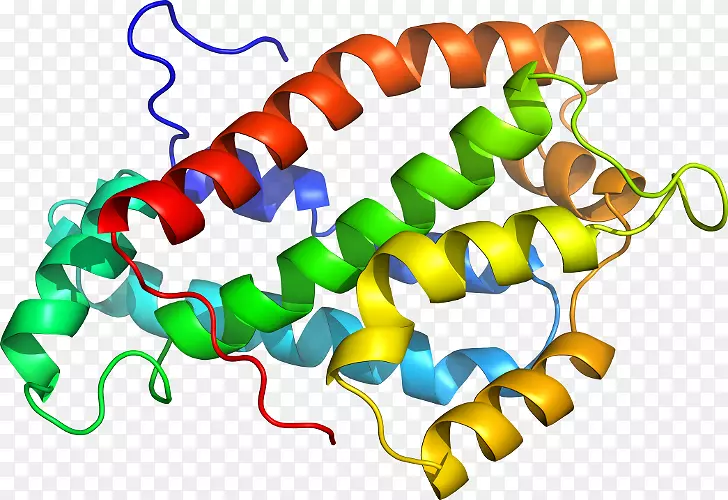 ���������л����߼�������-������