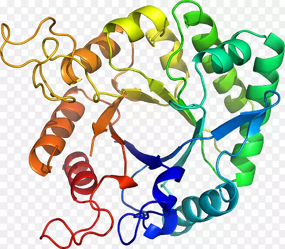 ���������л����߼�������-������