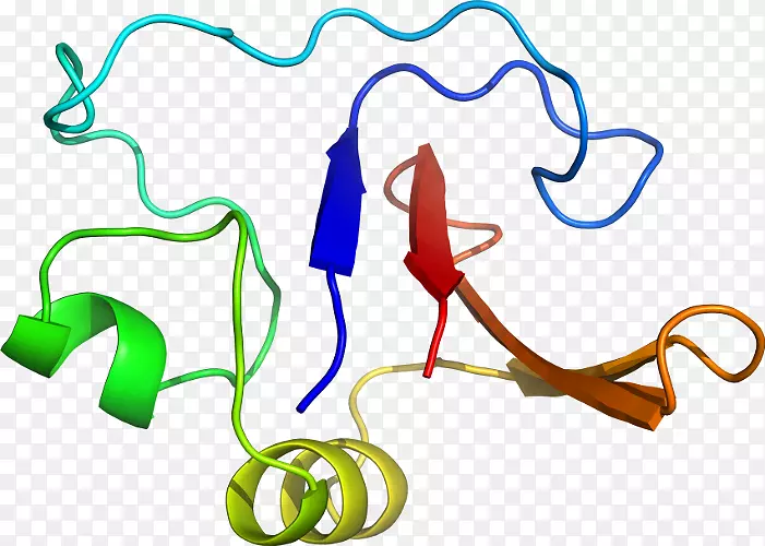 �ߵ������-��-������