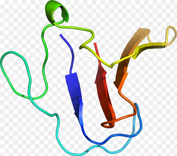 �ߵ������-��-������