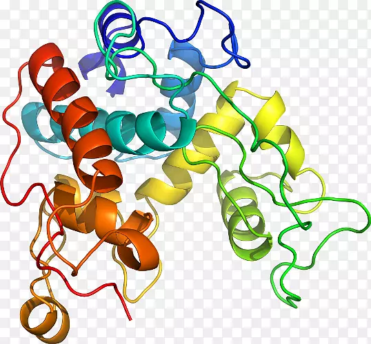 �����߶����������-������