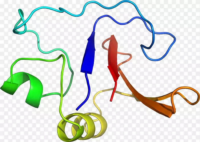 �ߵ������-��-������