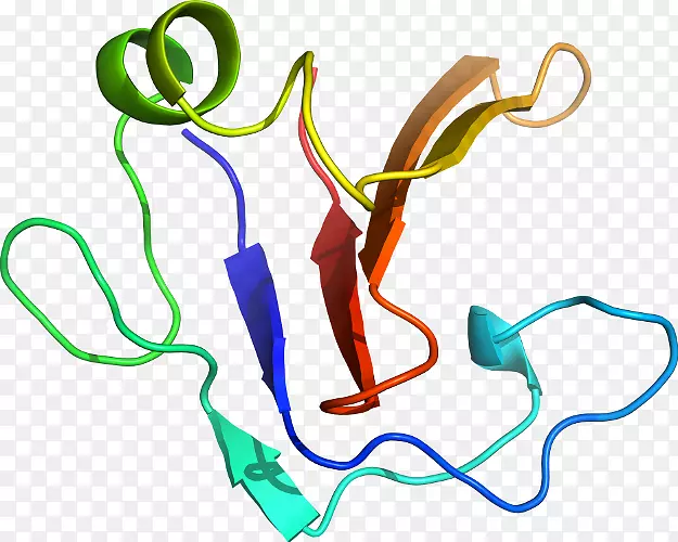 �ߵ������-��-������