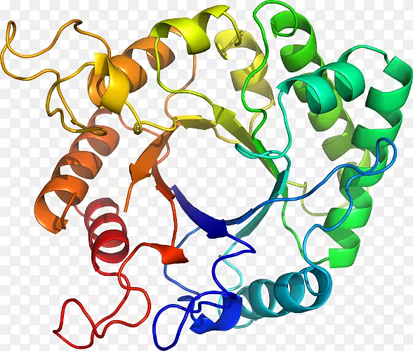 ���������л����߼�������-������