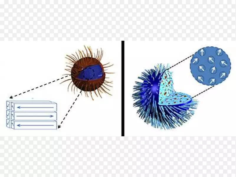 ����ɫ��������.���-������