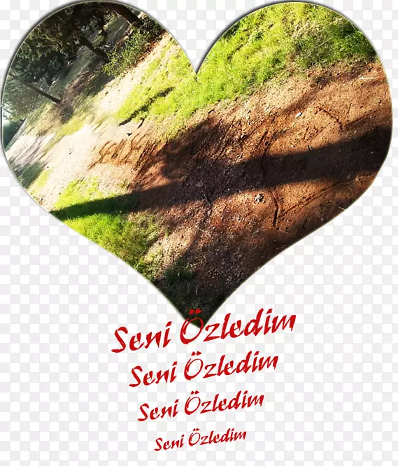 Ҷ����-Ramazan Bayram?-������