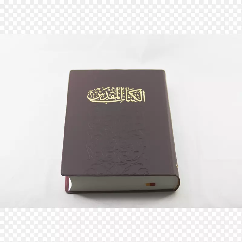 ���Ӷ�ý��-��������ʥ����-������