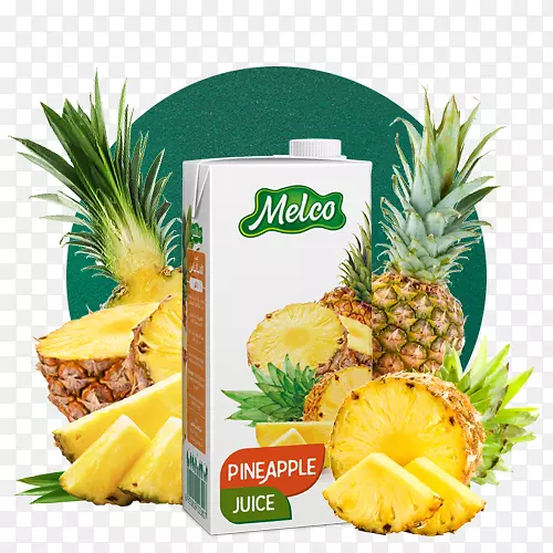 ���ܼ���ʳƷ���䶳�����֭����-������