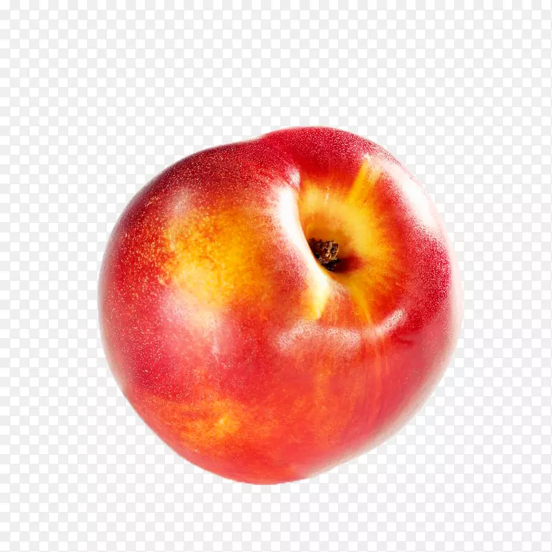 ����ˮ�������������������Ѳ���-������