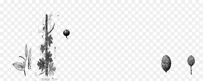 ������������-ˮ��-������