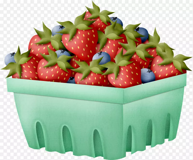 ��ݮ����ʳƷ-��ݮ-������